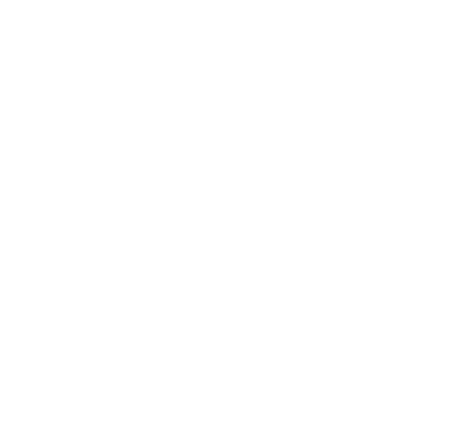 reesa security Logo